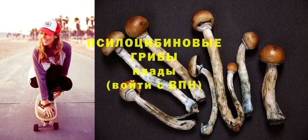 метамфетамин Алексеевка